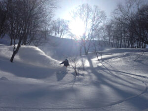 写真 1