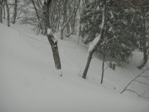 DSCN6265