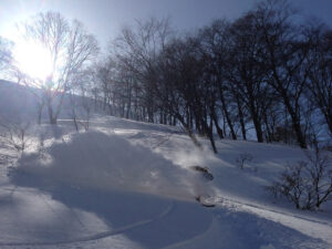 写真 2