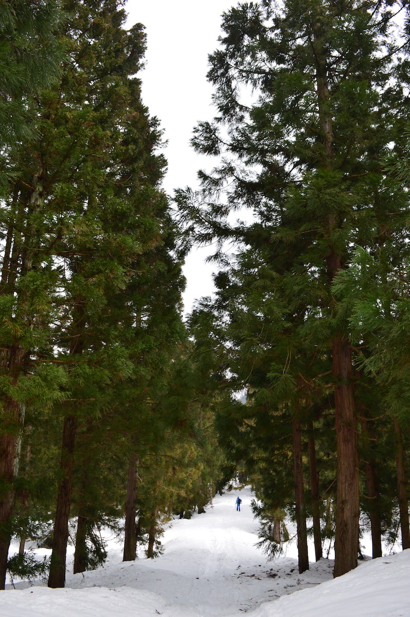DSC_0256