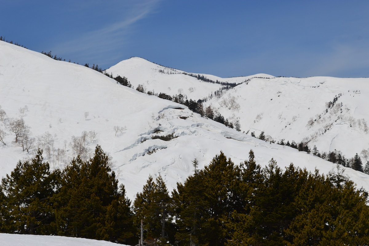 DSC_0003