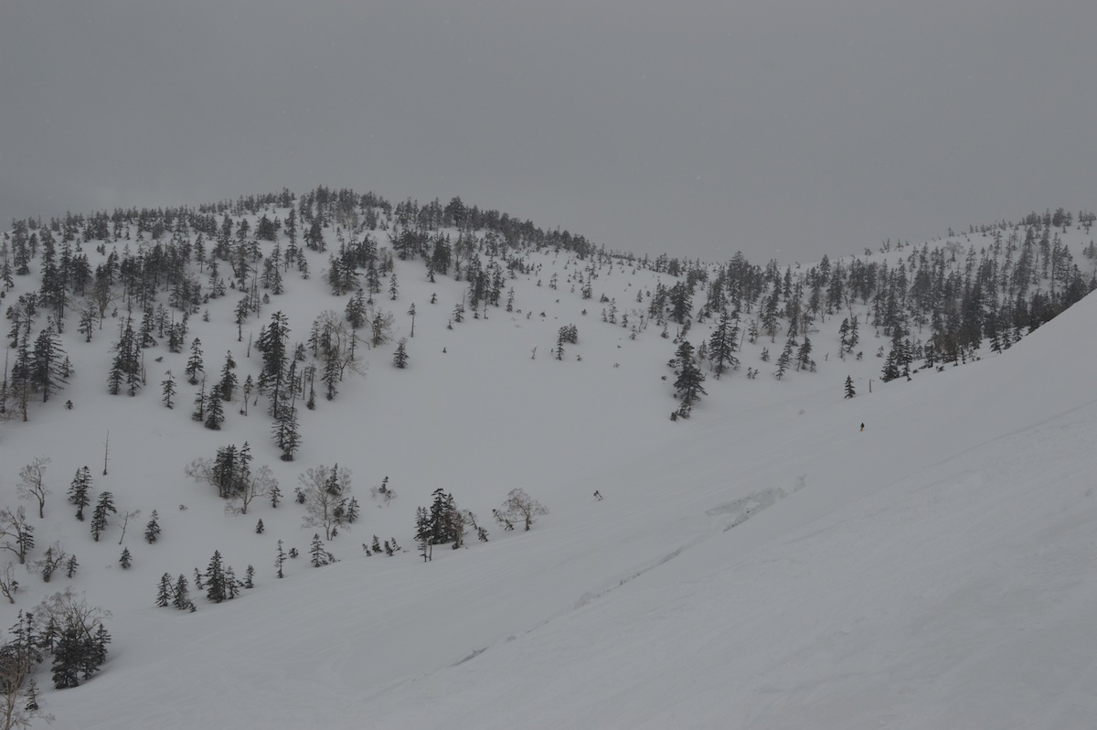 DSC_0808