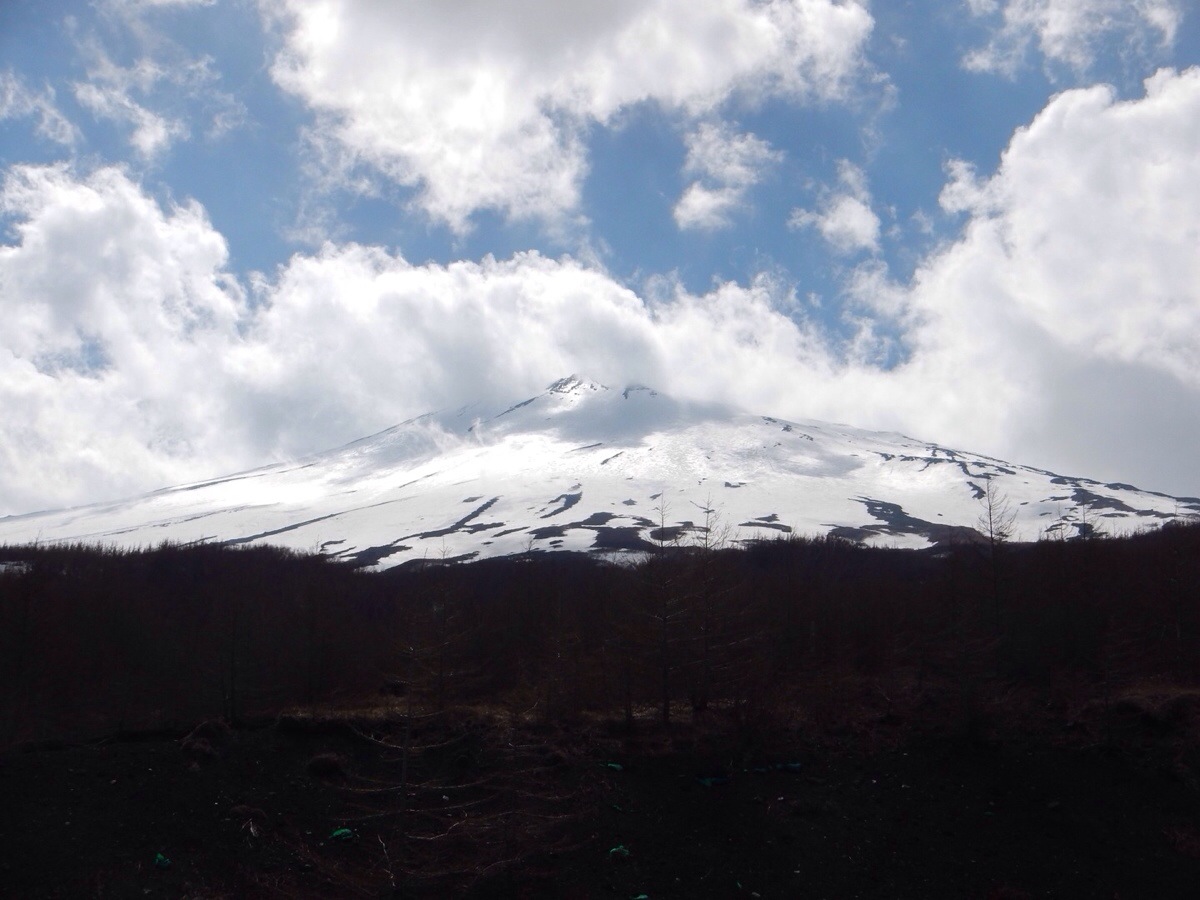 20140517-152400.jpg