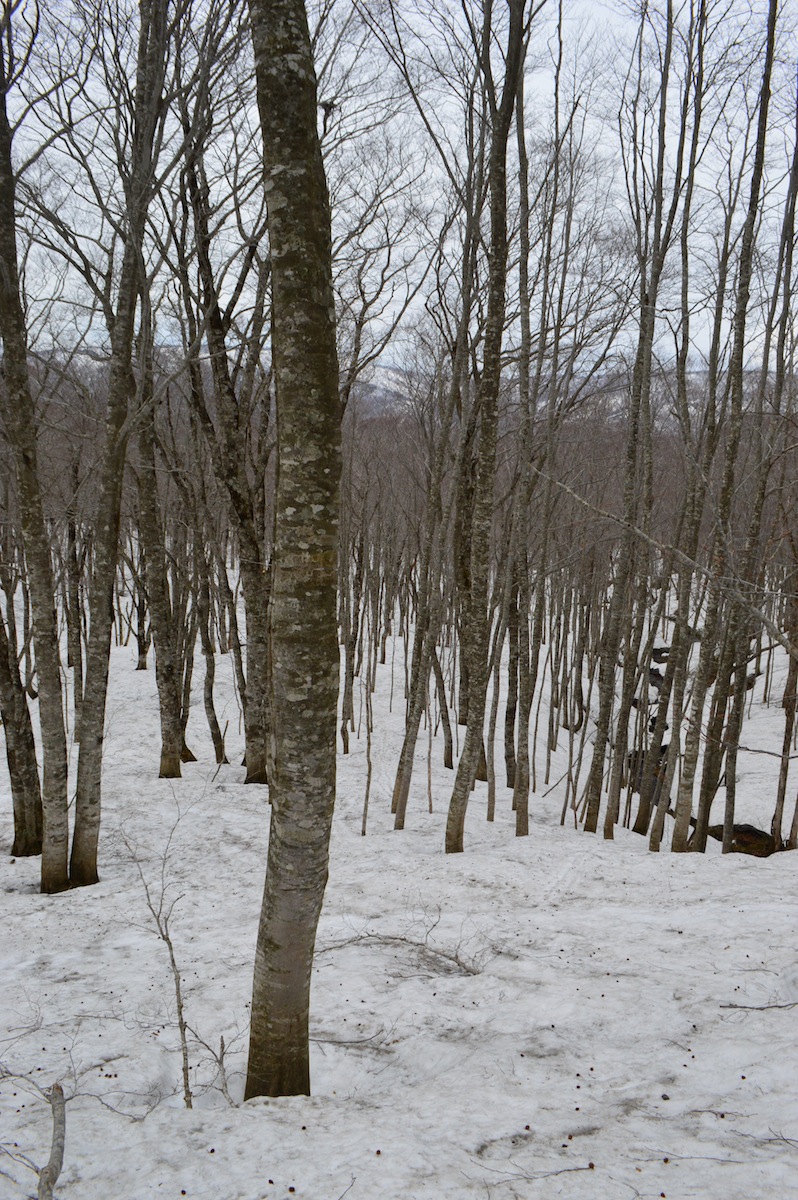 DSC_0001