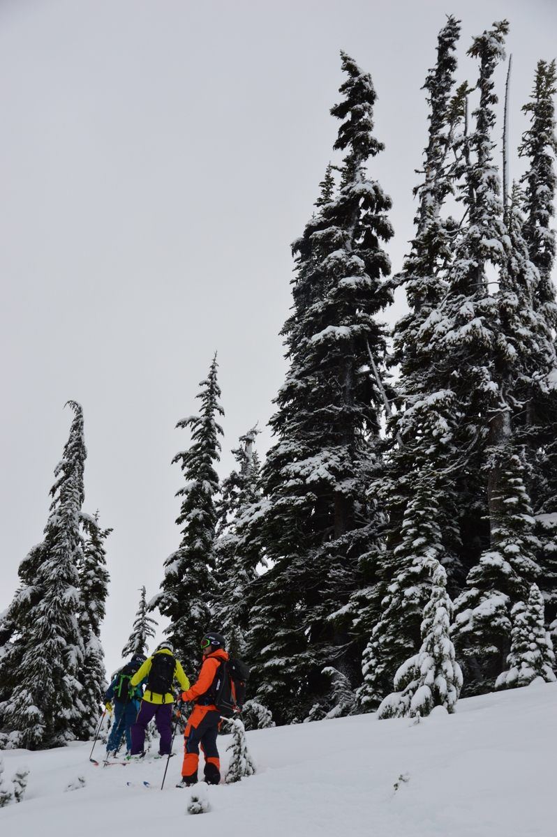 DSC_0368