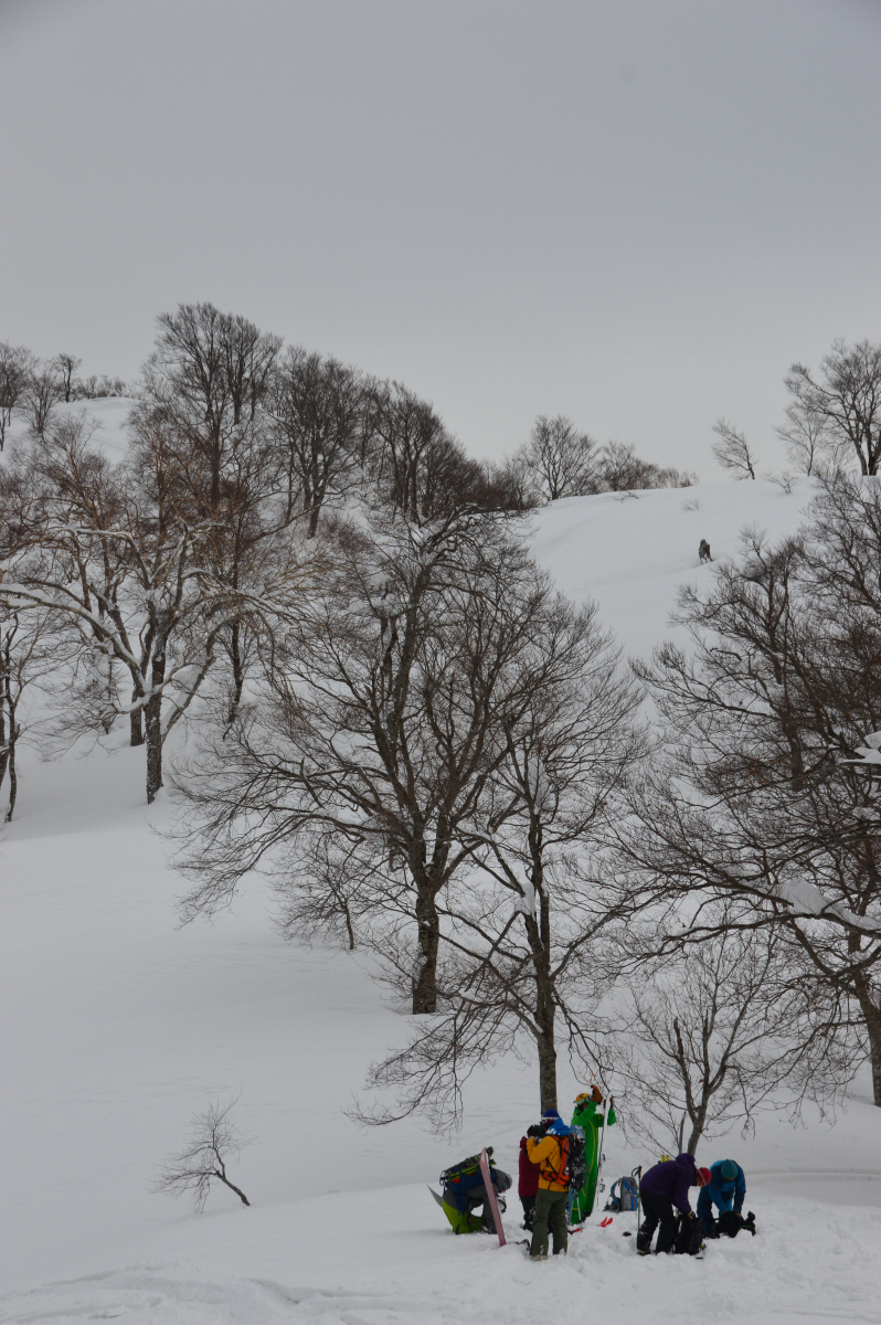 DSC_0466