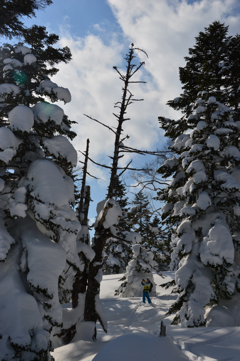 DSC_0726