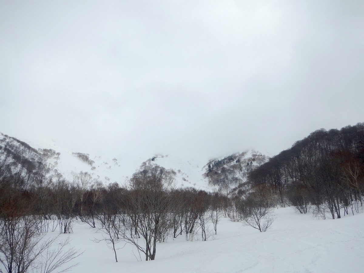 DSCN5159