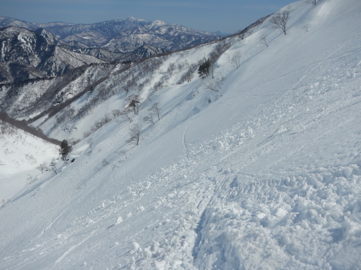 DSCN5357