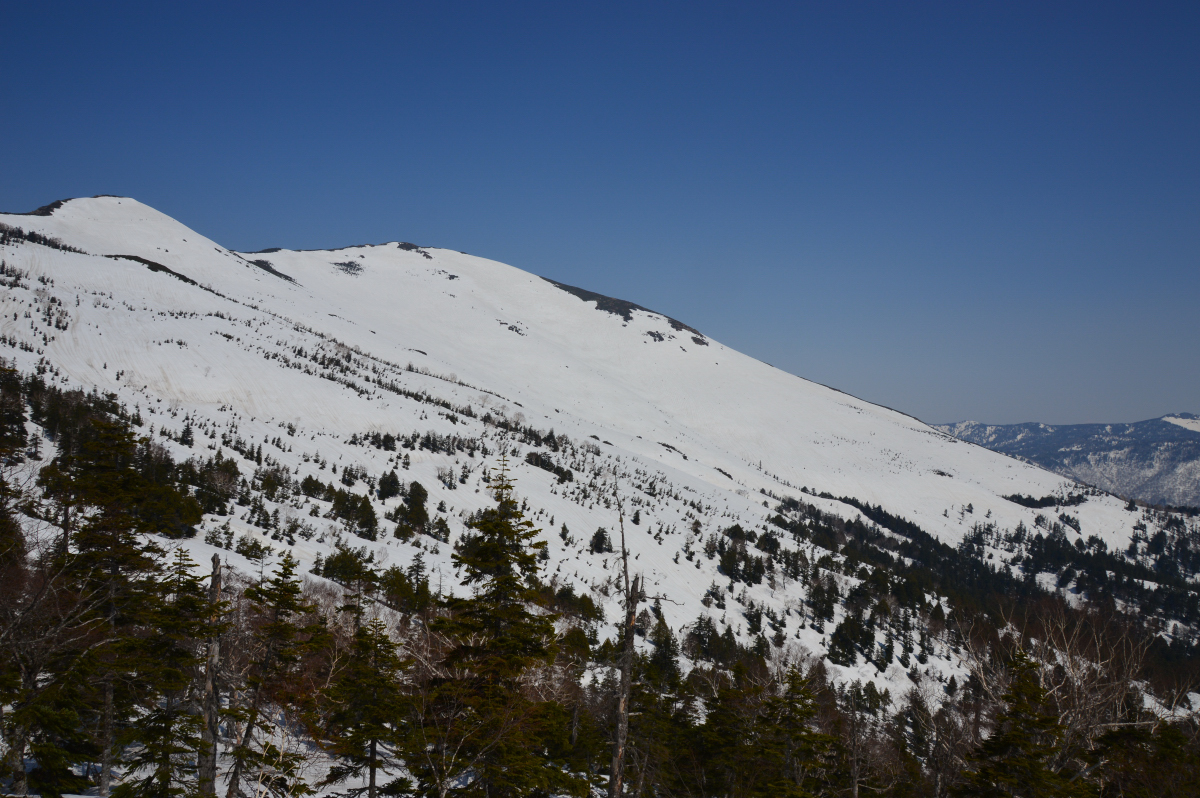 DSC_0007