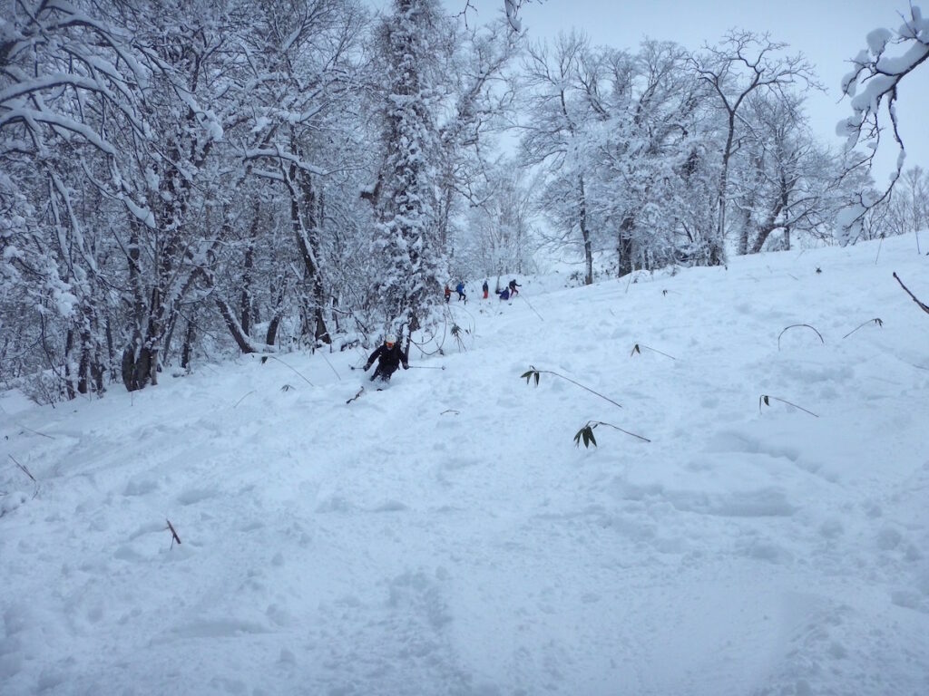 DSCN8351