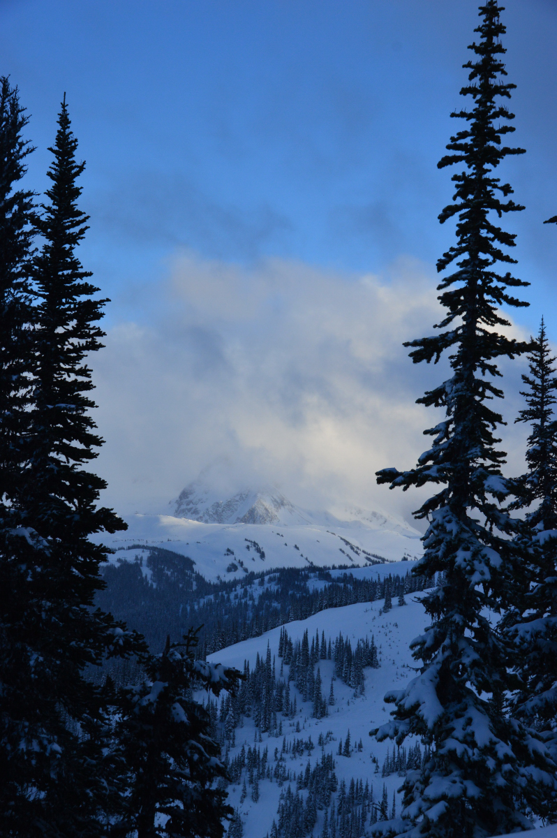 DSC_0569