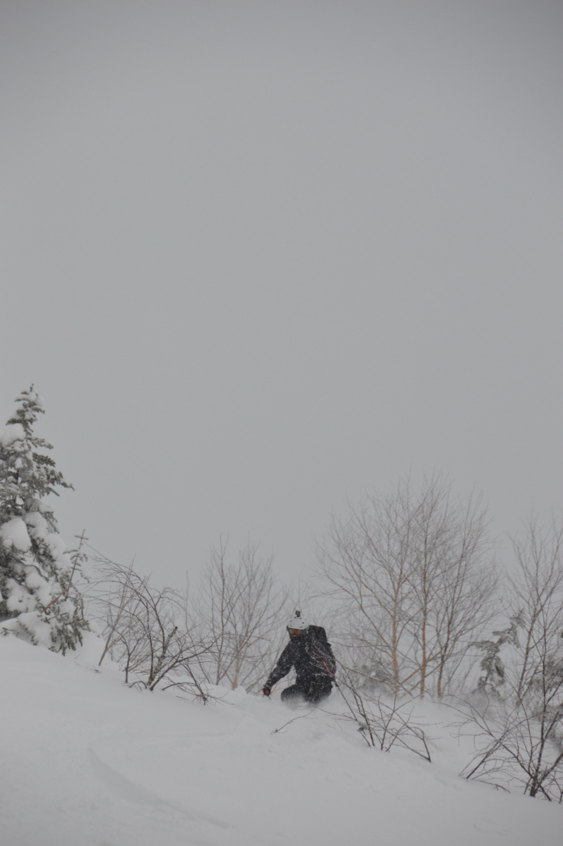 DSC_0018