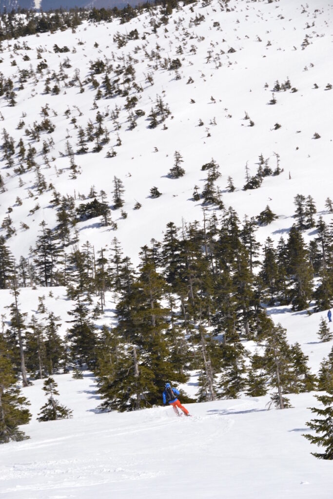 DSC_0121