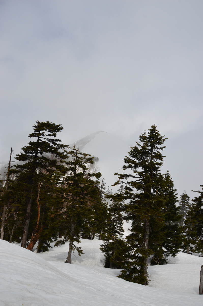 DSC_0001